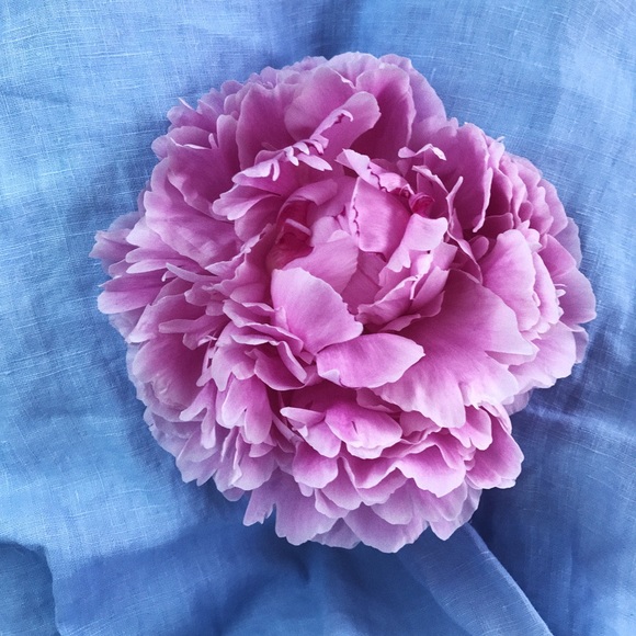 Meet your Posher, Eva - Picture 2 of 4